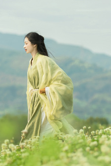 长月烬明40集免费观看